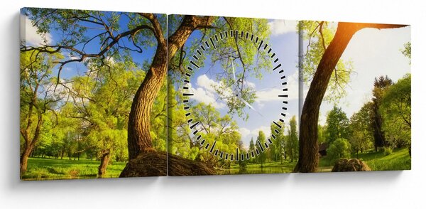 Tablou lunca ne primăvară (cu ceas) (90x30 cm)