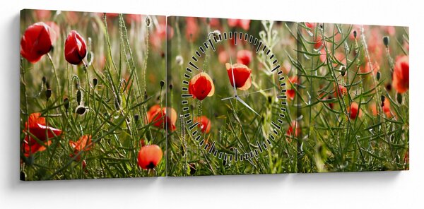 Tablou cu maci (cu ceas) (90x30 cm)