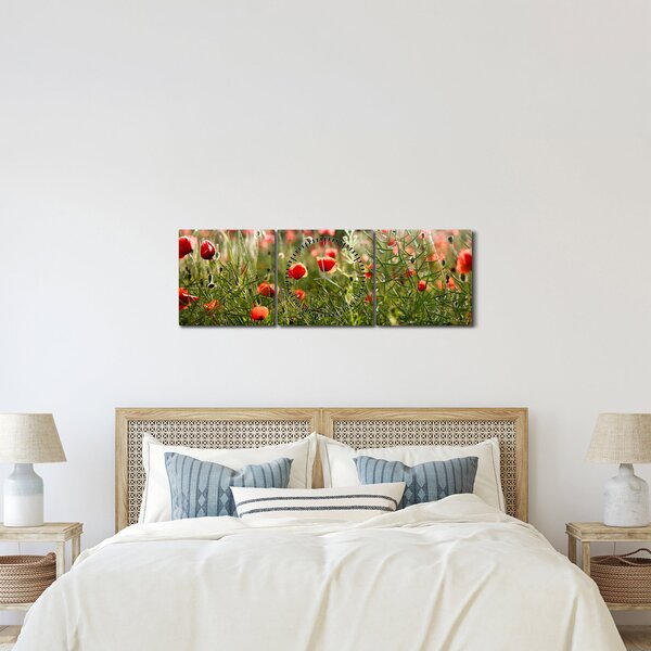 Tablou cu maci (cu ceas) (90x30 cm)