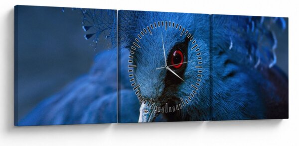Tablou - Porumbel încoronat (cu ceas) (90x30 cm)