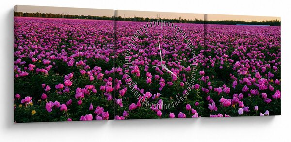 Tablou - Pajiștea cu lalele violet (cu ceas) (90x30 cm)