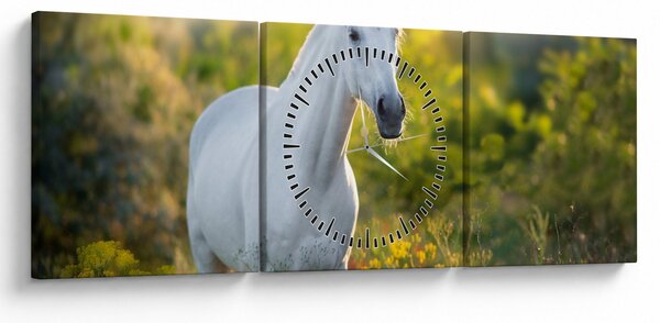Tablou - Cal alb în poină (cu ceas) (90x30 cm)