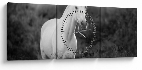 Tablou - Cal alb în poină (cu ceas) (90x30 cm)
