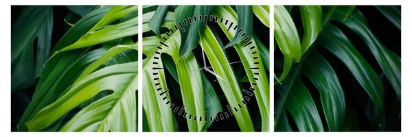 Tablou - Frunze tropicale (cu ceas) (90x30 cm)