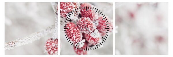 Tablou - Fructe congelate (cu ceas) (90x30 cm)