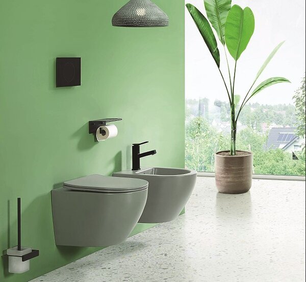 Set vas WC suspendat, Fluminia, Alfonzo, cu capac quick release si soft close, gri