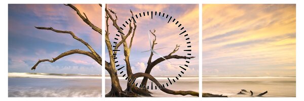 Tablou - Copacul în ocean (cu ceas) (90x30 cm)
