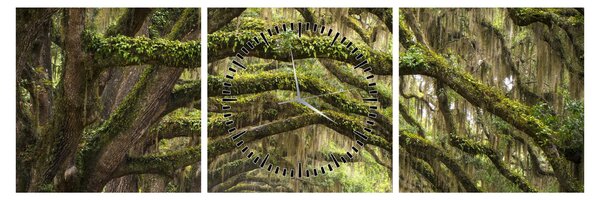 Tablou - Oaks Avenue, Charleston, Carolina de Sud, SUA (cu ceas) (90x30 cm)