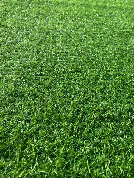 Covor Gazon Iarba Artificiala, Gradinita Loc de Joaca Terasa Curte, Model Leisure Inaltime fir 15 mm, Verde Verde, Dreptunghi, 200 x 200