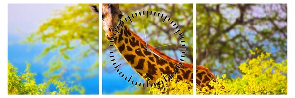 Tablou - Girafa în Africa (cu ceas) (90x30 cm)