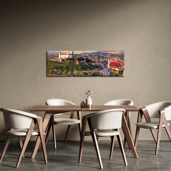 Tablou - Panorama bratislavei, Slovacia (cu ceas) (90x30 cm)