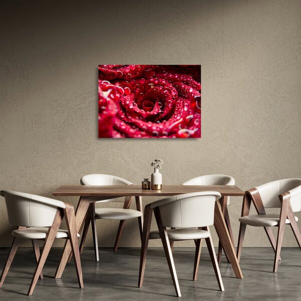 Tablou pe sticlă cu floarea trandafirului roșu (70x50 cm)