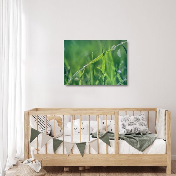 Tablou pe sticlă cu picături de rouă (70x50 cm)