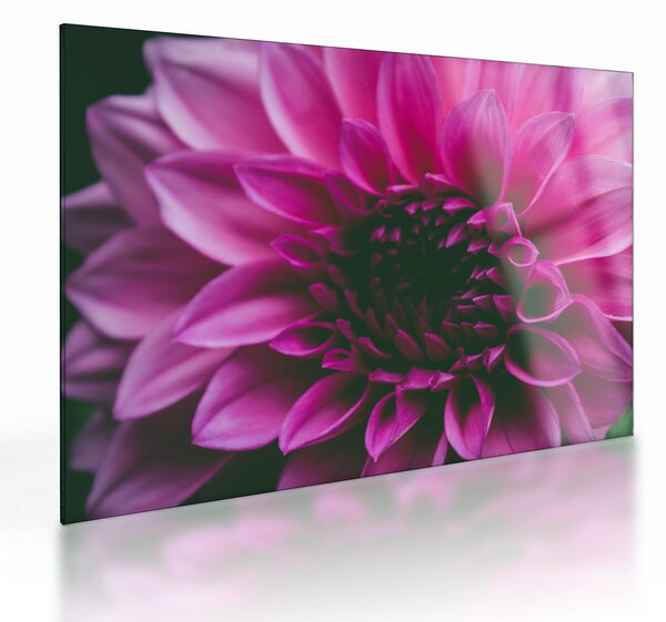 Tablou pe sticlă cu floarea roz (70x50 cm)