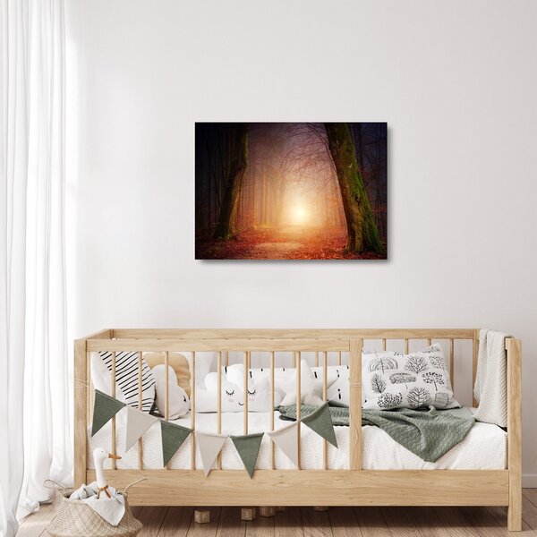 Tablou pe sticlă cu pădurea toamna în ceață (70x50 cm)