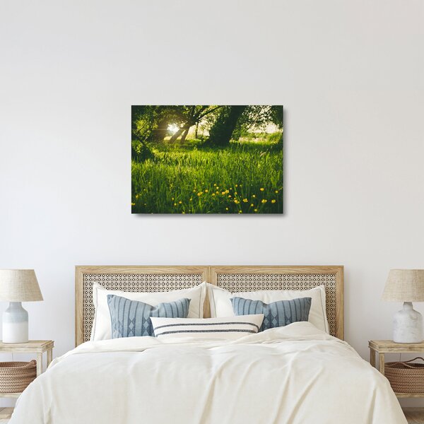 Tablou pe sticlă cu natura - lunca (70x50 cm)