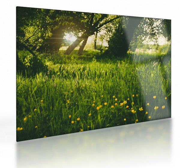 Tablou pe sticlă cu natura - lunca (70x50 cm)