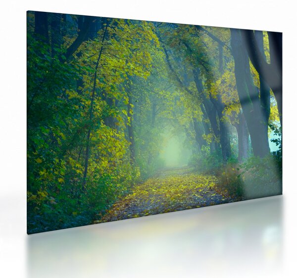 Tablou pe sticlă cu drum dea lungul cu copaci (70x50 cm)