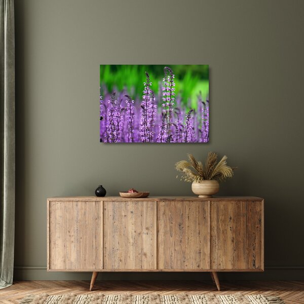 Tablou pe sticlă cu flori de luncă violete (70x50 cm)