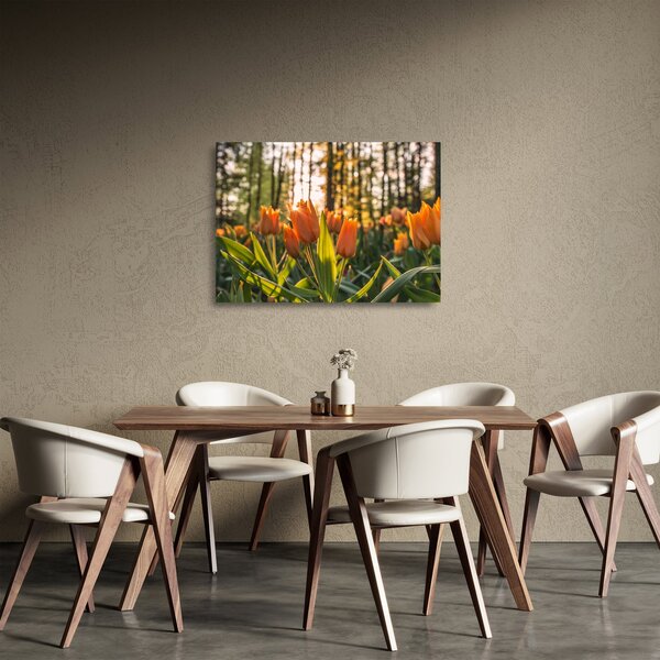 Tablou pe sticlă - florile lalelelor (70x50 cm)