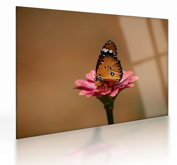 Tablou pe sticlă cu fluture pe floare (70x50 cm)