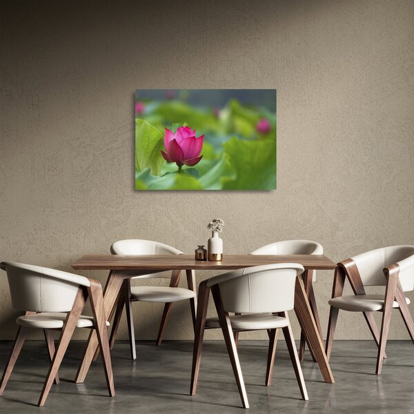 Tablou pe sticlă - floare de apă (70x50 cm)