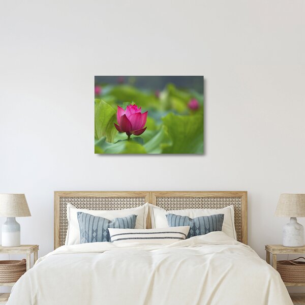 Tablou pe sticlă - floare de apă (70x50 cm)