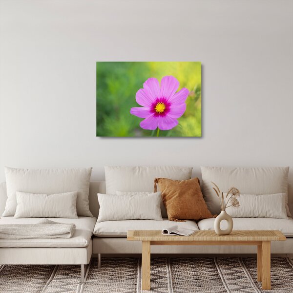 Tablou pe sticlă - floare de câmp (70x50 cm)