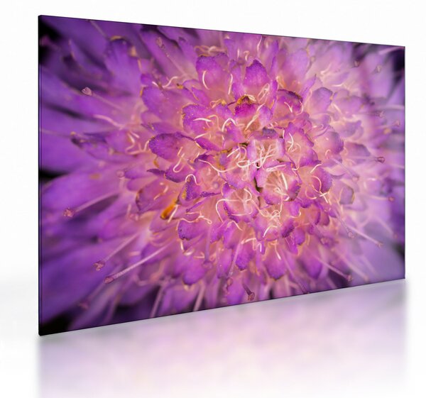 Tablou pe sticlă detailat cu floare (70x50 cm)