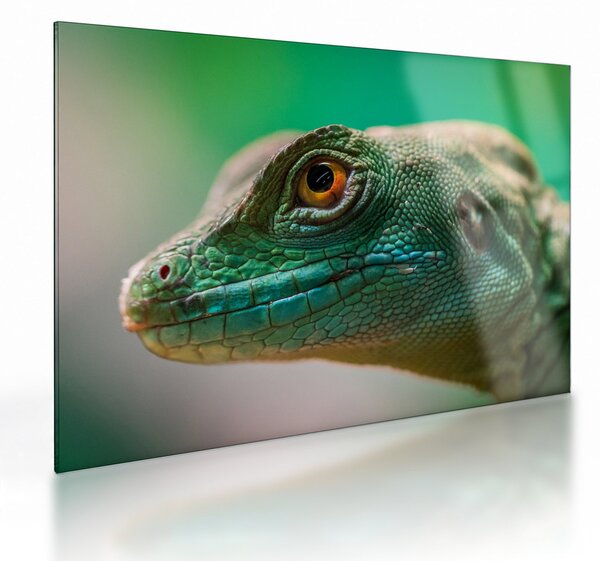 Tablou pe sticlă detailat cu o șopârlă (70x50 cm)