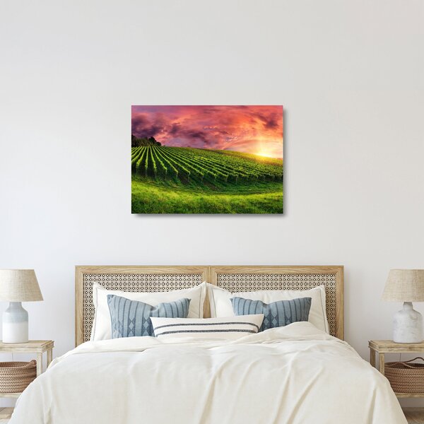 Tablou pe sticlă cu vie cu cerul color (70x50 cm)