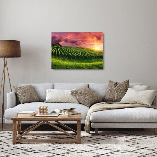 Tablou pe sticlă cu vie cu cerul color (70x50 cm)