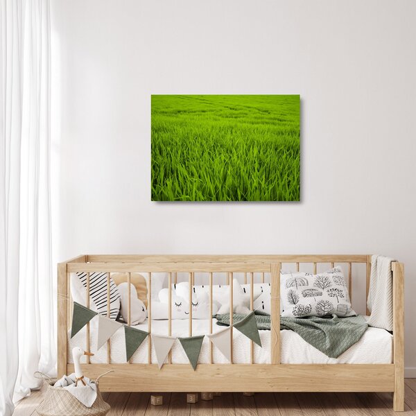 Tablou pe sticlă cu iaraba (70x50 cm)
