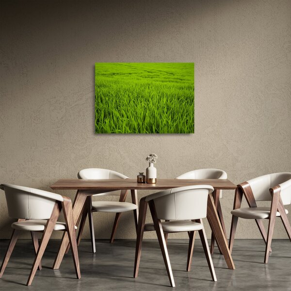 Tablou pe sticlă cu iaraba (70x50 cm)