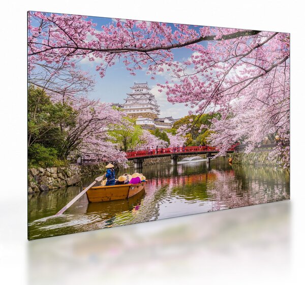 Tablou pe sticlă cu cireș japonez (70x50 cm)