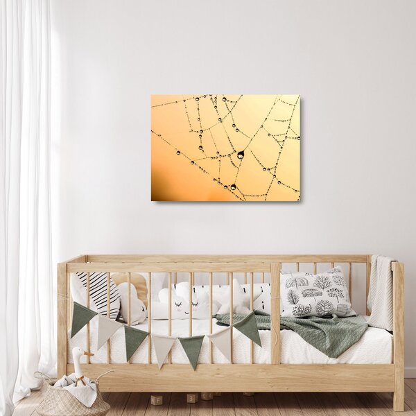 Tablou pe sticlă cu pânză de pâianjen cu rouă (70x50 cm)
