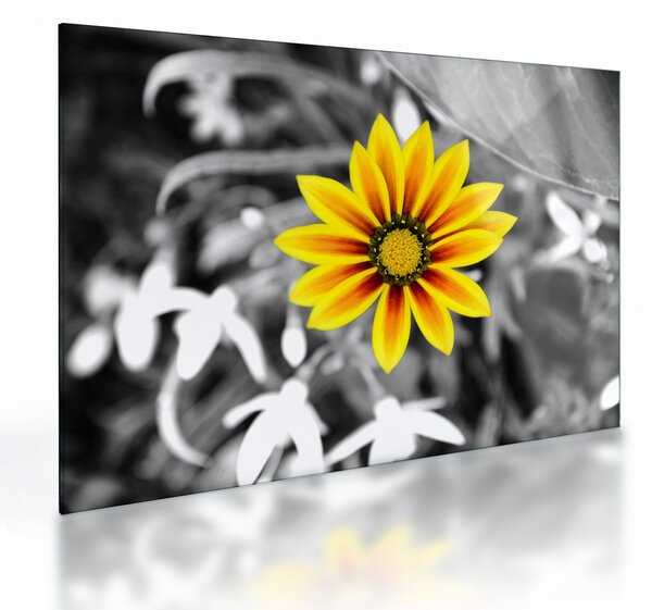 Tablou pe sticlă cu floare galbenă (70x50 cm)