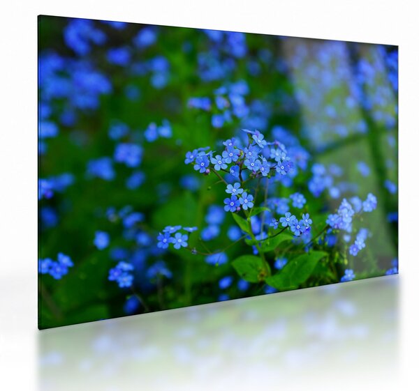 Tablou pe sticlă cu flori albastre (70x50 cm)