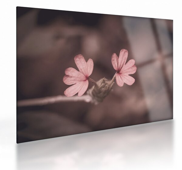Tablou pe sticlă cu floare roz (70x50 cm)