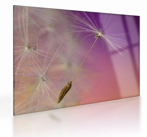 Tablou pe sticlă cu floarea norocul (70x50 cm)