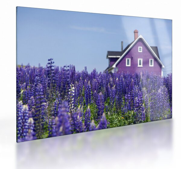 Tablou pe sticlă cu câmp de lavanda (70x50 cm)