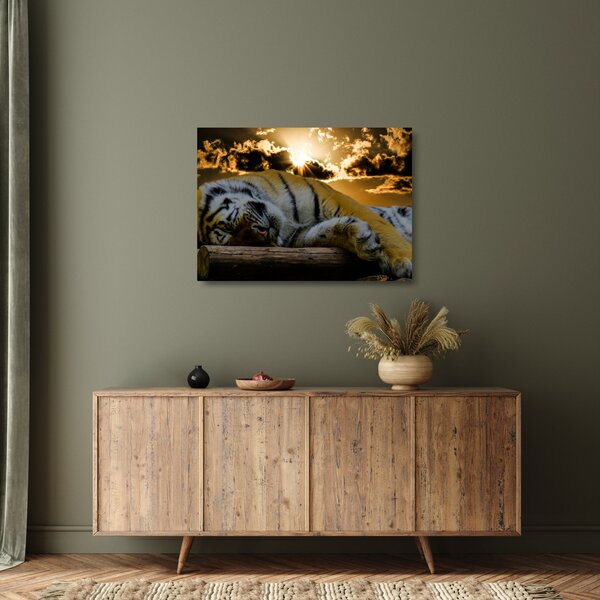 Tablou pe sticlă tigrul dormind (70x50 cm)