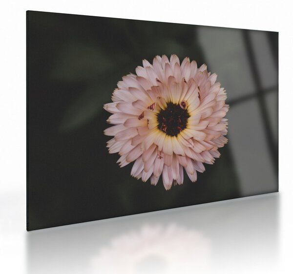 Tablou pe sticlă cu floare portocalie (70x50 cm)