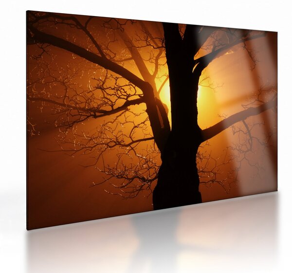 Tablou pe sticlă cu copac în apus de soare (70x50 cm)
