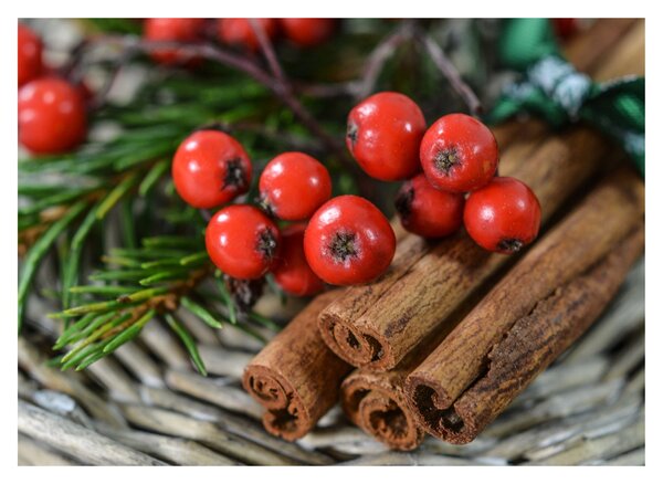 Tablou pe sticlă cu rowan și scorțișoară (70x50 cm)