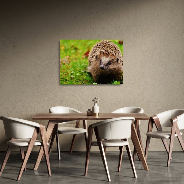 Tablou pe sticlă cu arici (70x50 cm)