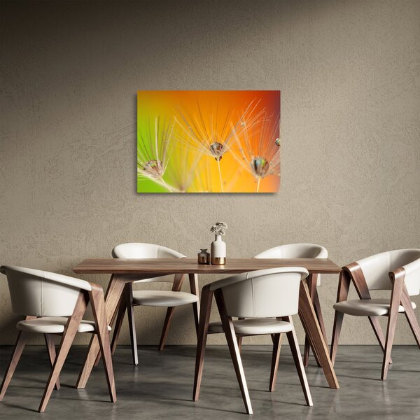Tablou pe sticlă cu picături pe plantă (70x50 cm)