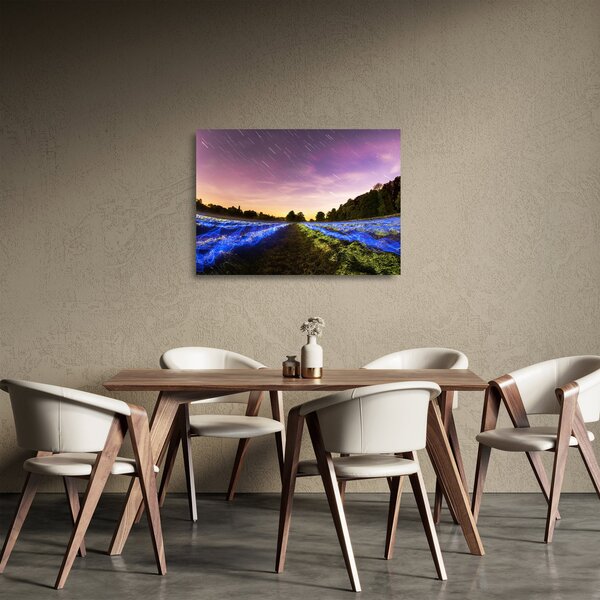 Tablou pe sticlă cu câmp colorat (70x50 cm)