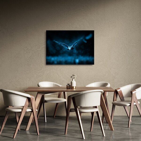Tablou pe sticlă cu bufnița zburând (70x50 cm)