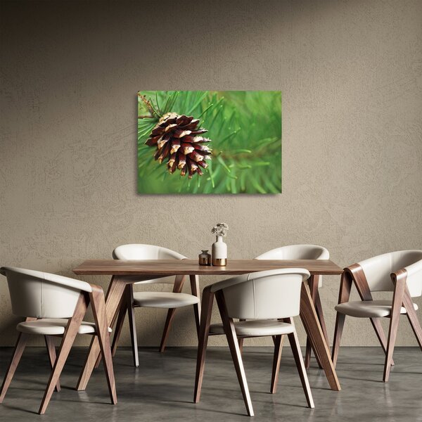 Tablou pe sticlă cu con (70x50 cm)
